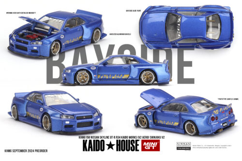 NISSAN SKYLINE GT-R (R34) KAIDO WORKS SHINJUKU V2